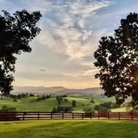 Patricia Manuela's profile image