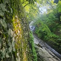 Abiel Leveron's profile image