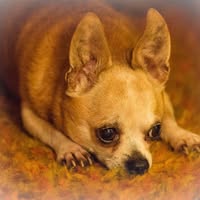 DeOnna Walker's profile image