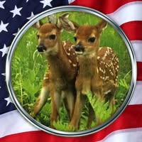 Jose Angeles's profile image