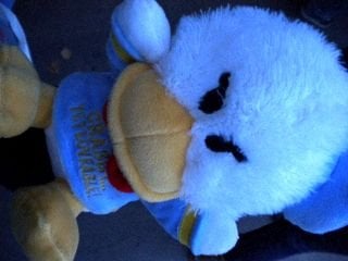 Karla C.'s profile image