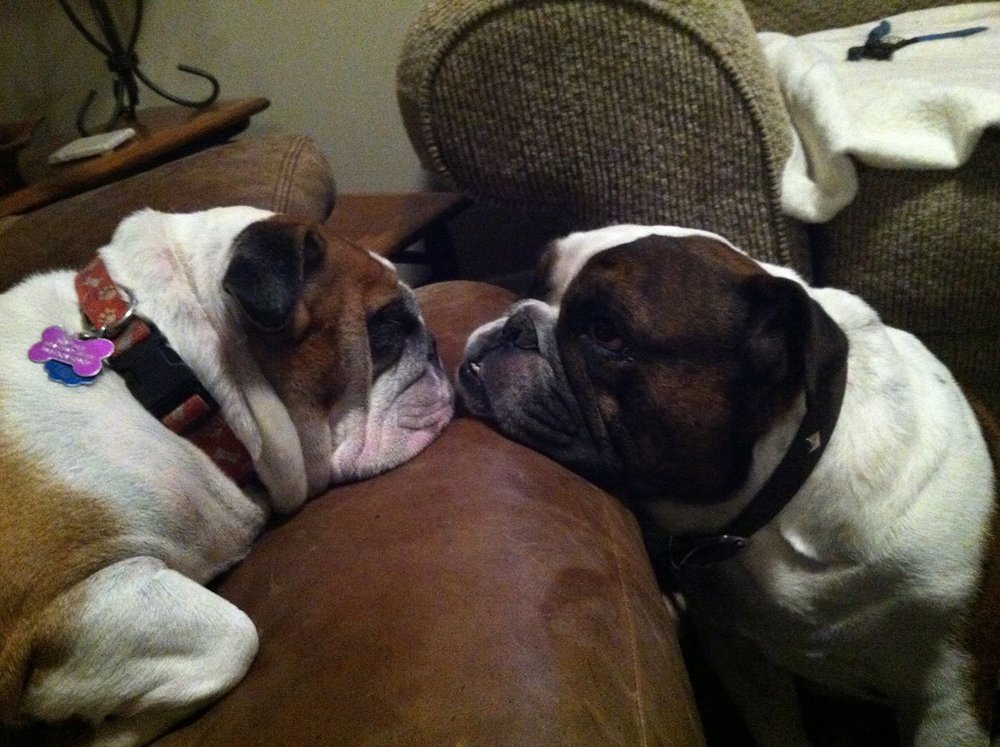 Sharon M.'s profile image