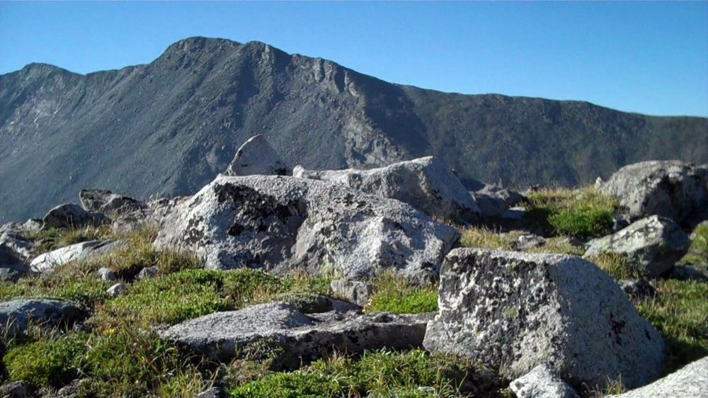 Daniel L.'s profile image