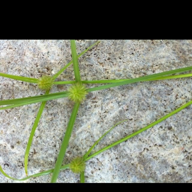 Shawn R.'s profile image