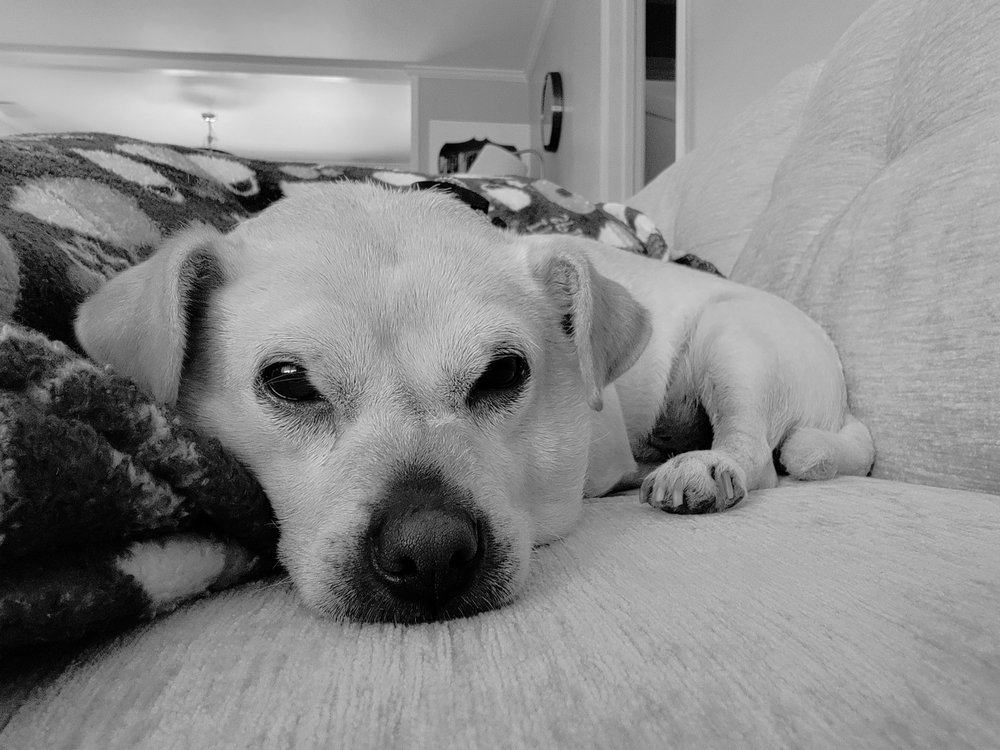 M. C.'s profile image