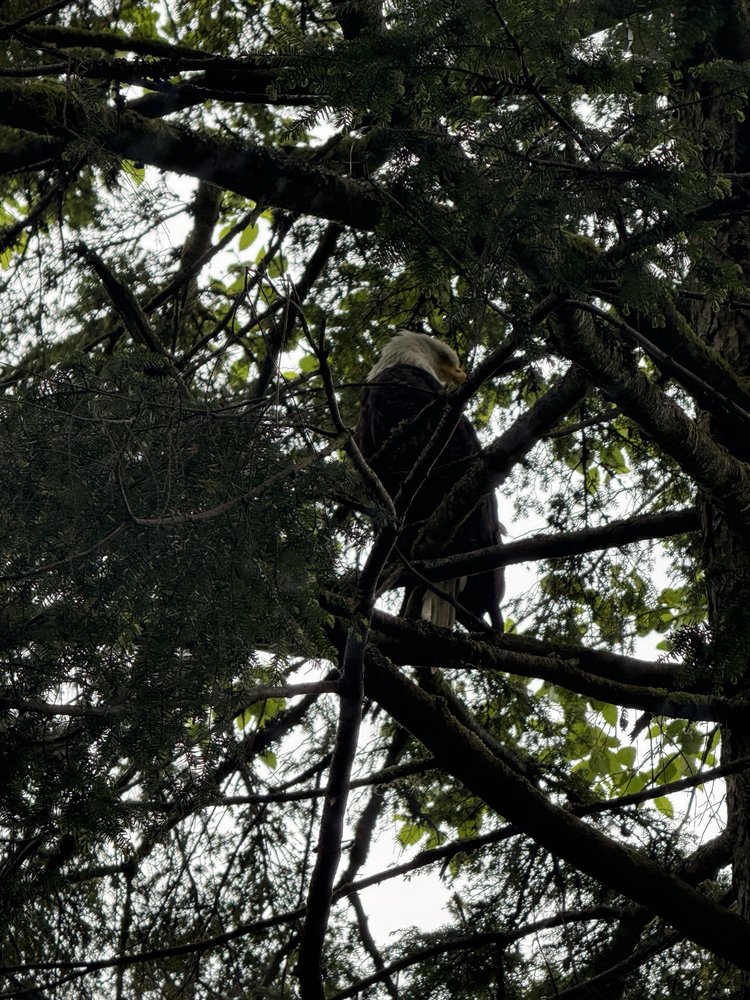 Jude C.'s profile image