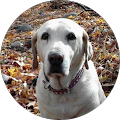 Profile Photo of Noelle Alcaraz