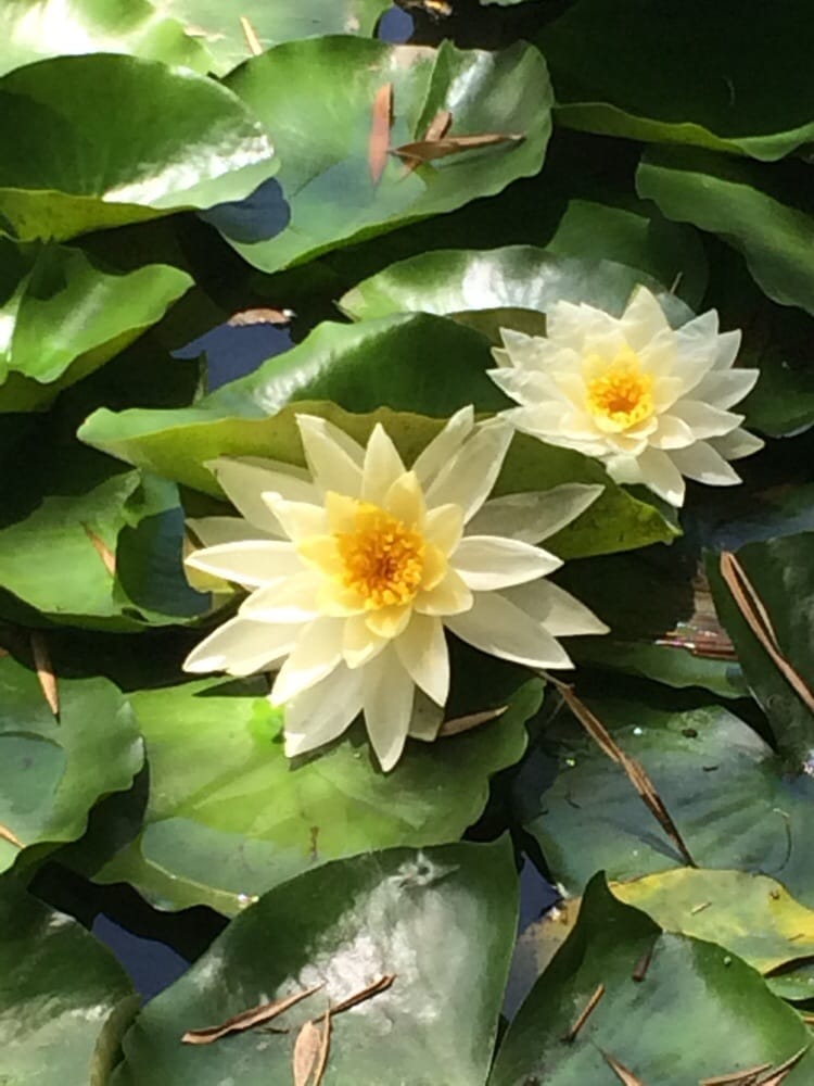 Ava G.'s profile image