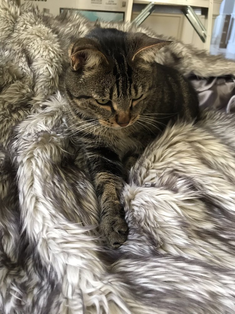 Lyn M.'s profile image