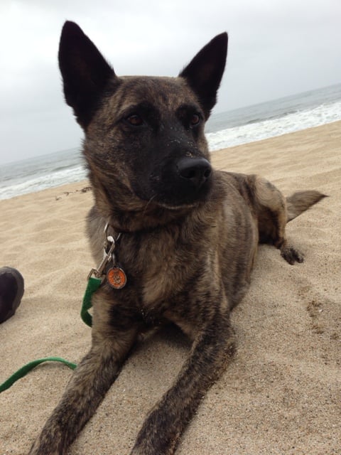 Rebecca M.'s profile image