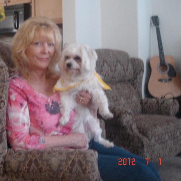 Jayne H.'s profile image