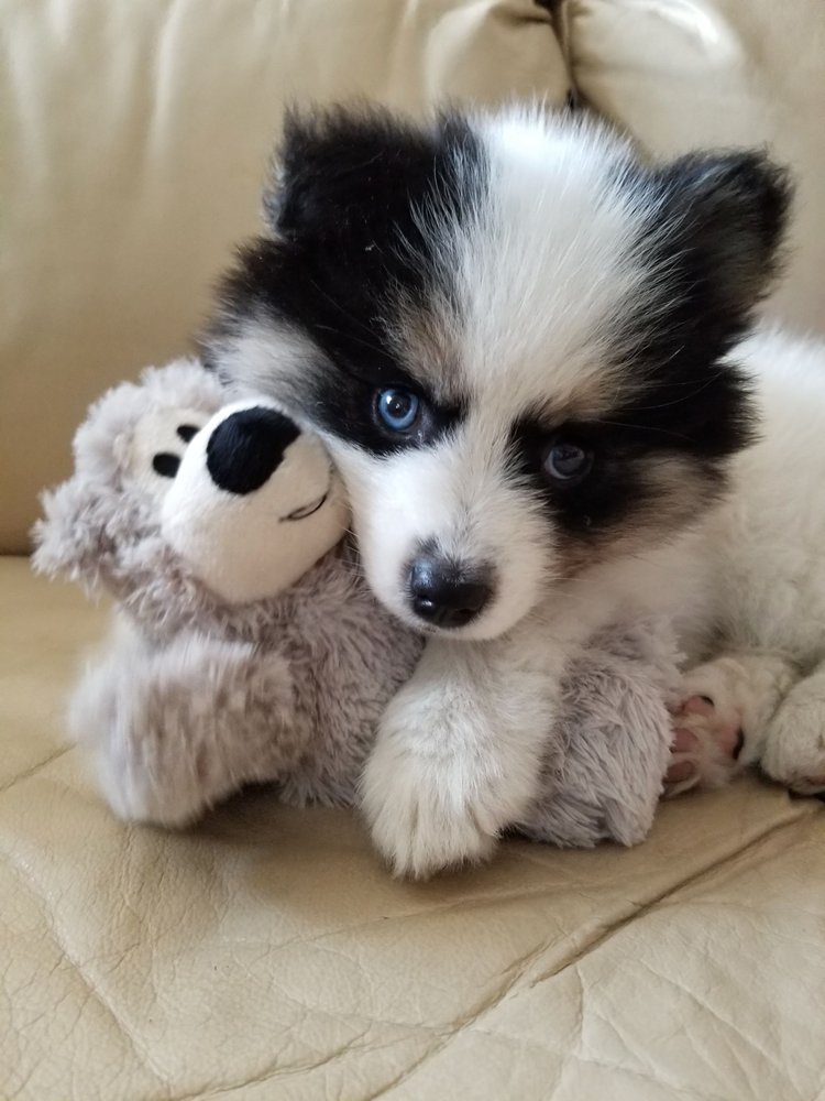 Andrew M.'s profile image