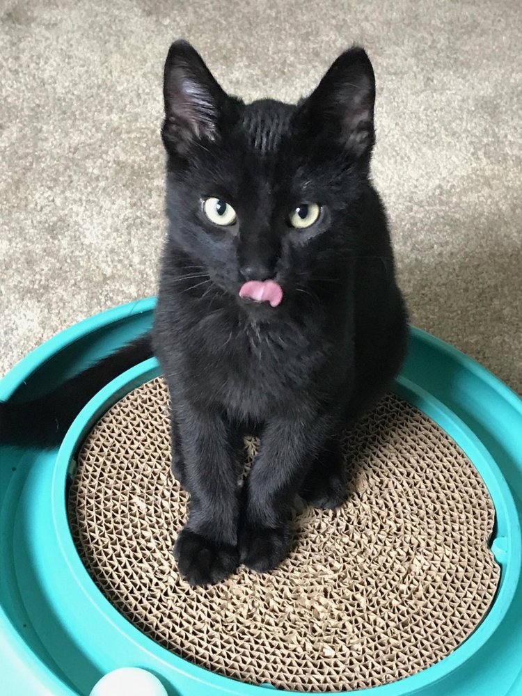 Dennis C.'s profile image