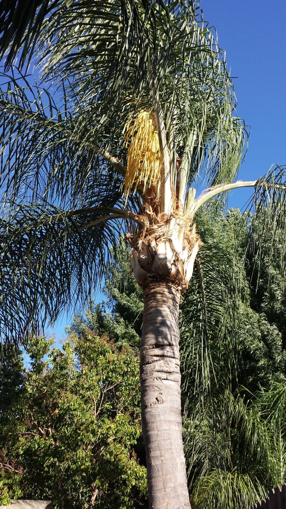 George X.'s profile image