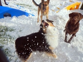 Terri B.'s profile image