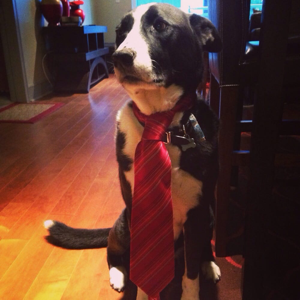 Gilbert D.'s profile image