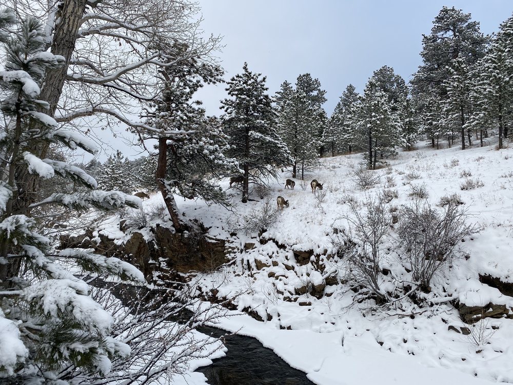 Whitney F.'s profile image