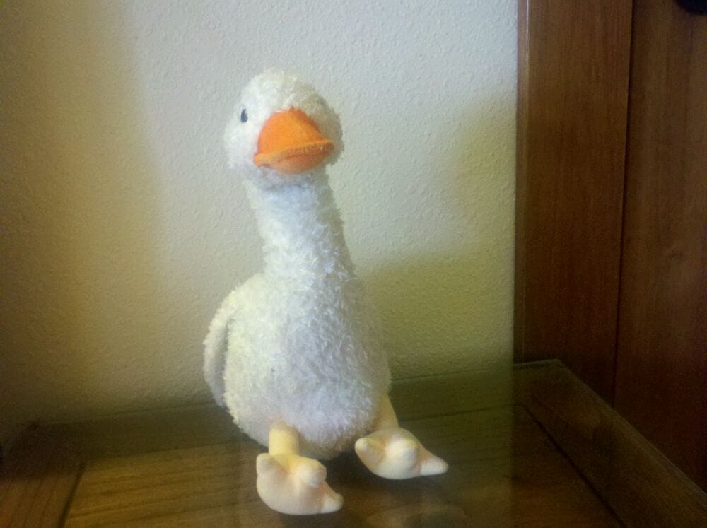 Kristina T.'s profile image