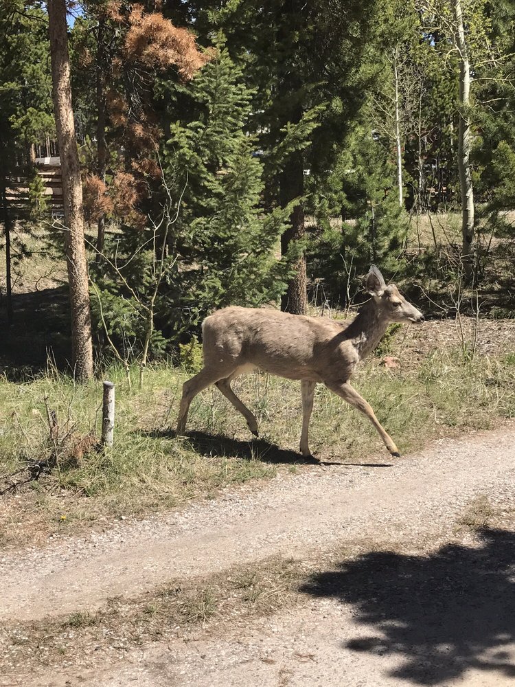 Erin T.'s profile image