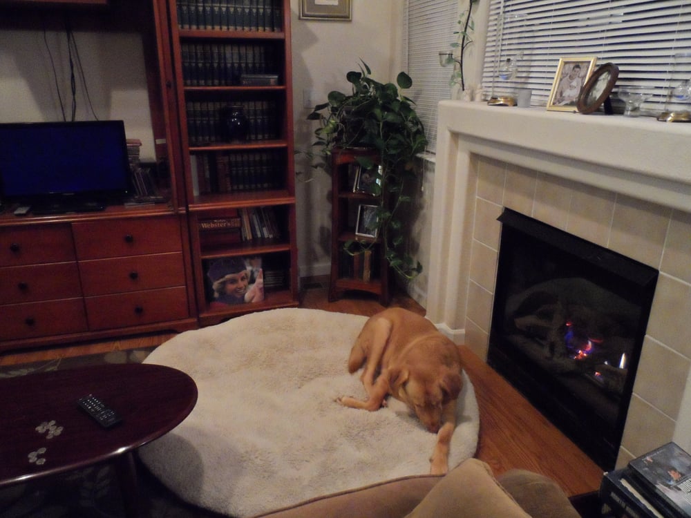 S M.'s profile image