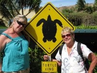 Susan B.'s profile image