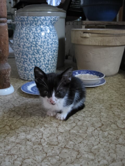 Judy C.'s profile image