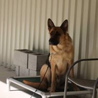 Betsy G.'s profile image