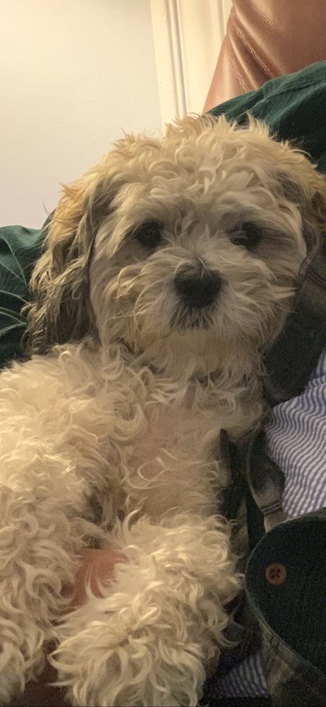 Nancy A.'s profile image