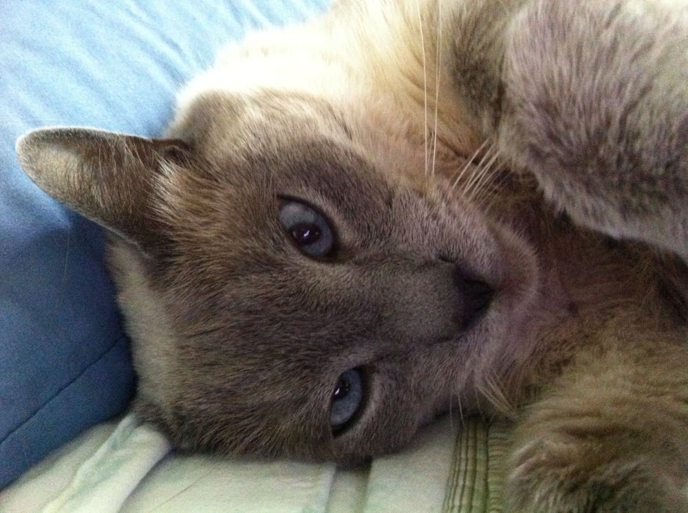 S W.'s profile image