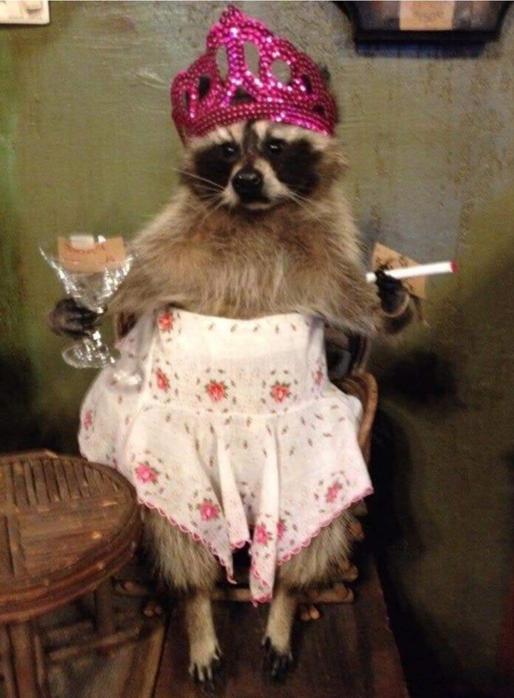 Jessica T.'s profile image