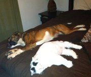 Brandi W.'s profile image