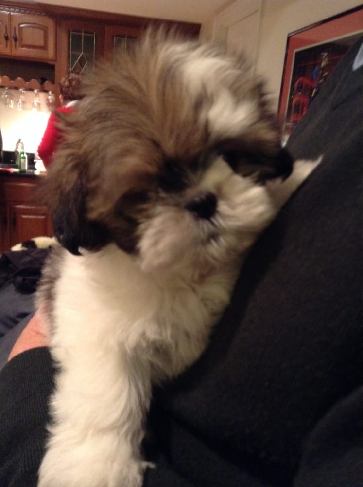 Holly B.'s profile image