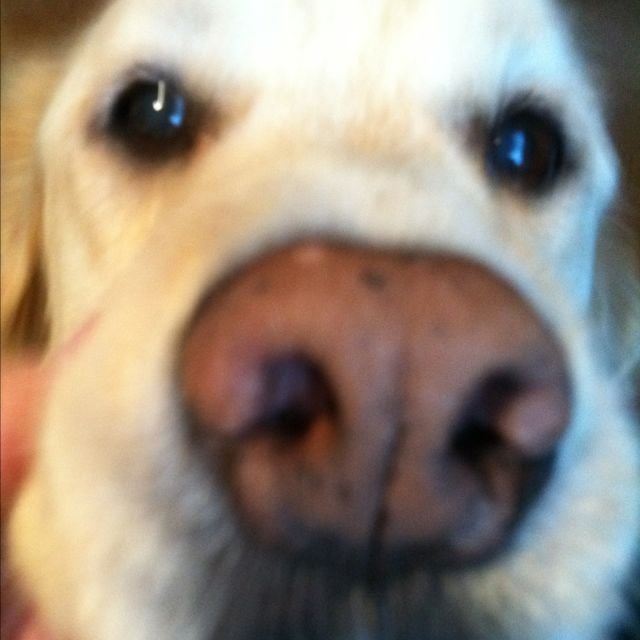 Don S.'s profile image