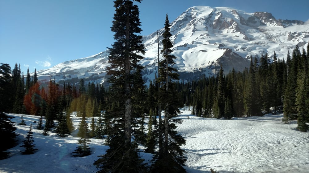 Rebecca B.'s profile image