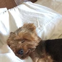 Kingsley O.'s profile image