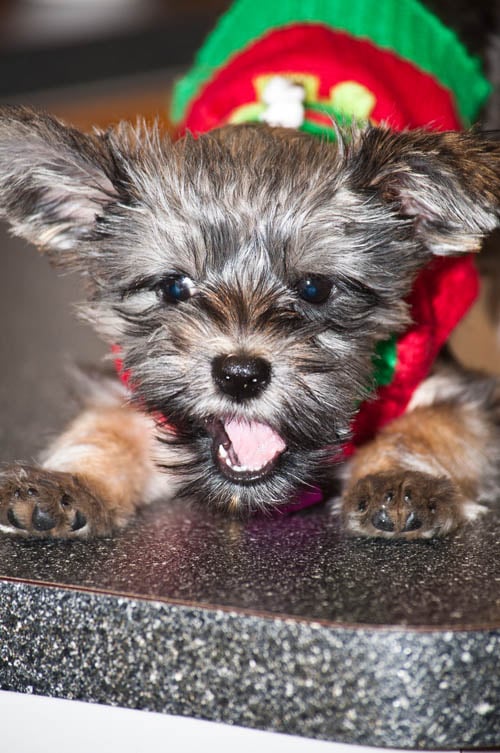 Amy S.'s profile image