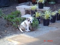 Heidi L.'s profile image