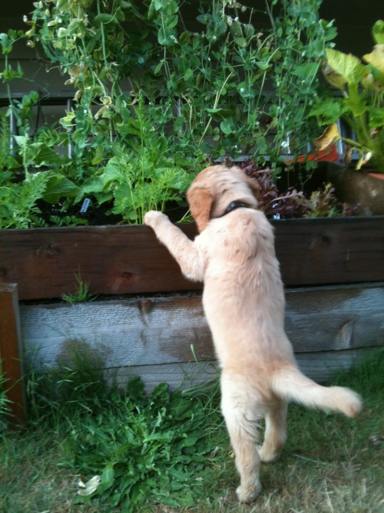 M. L. C.'s profile image