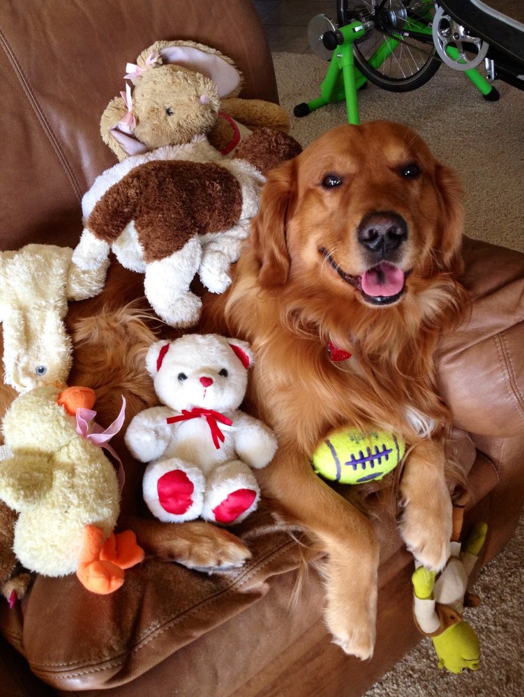 Ed F.'s profile image