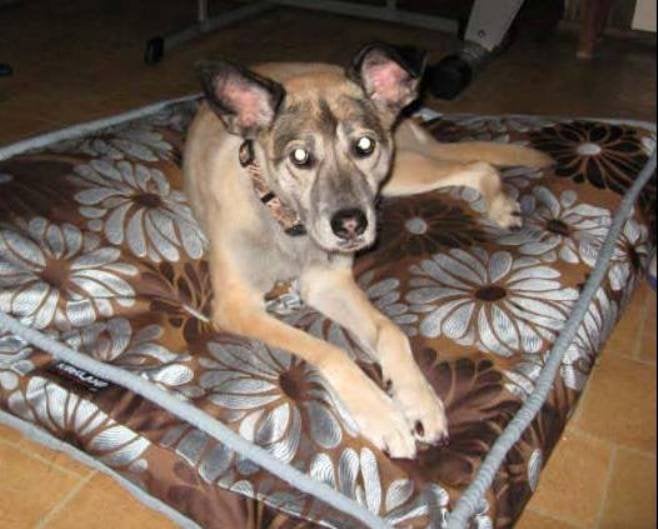 Mary S.'s profile image