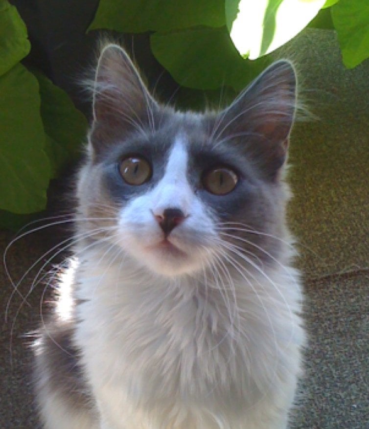 Bruce F.'s profile image