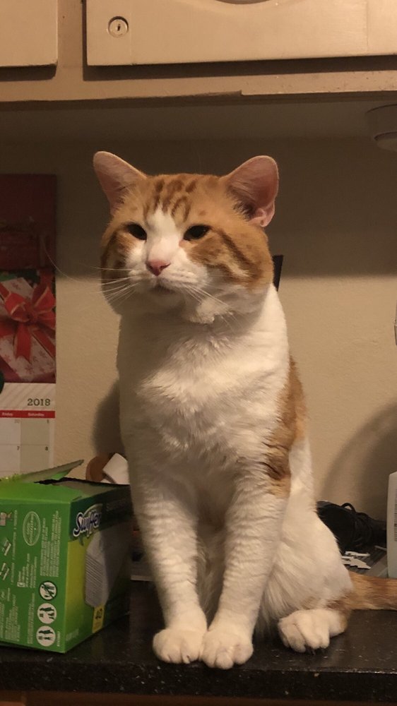 Aaron M.'s profile image