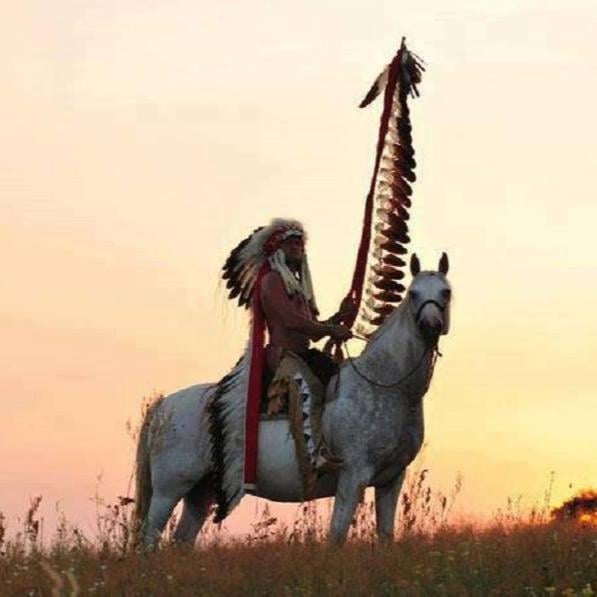 Victor D.'s profile image