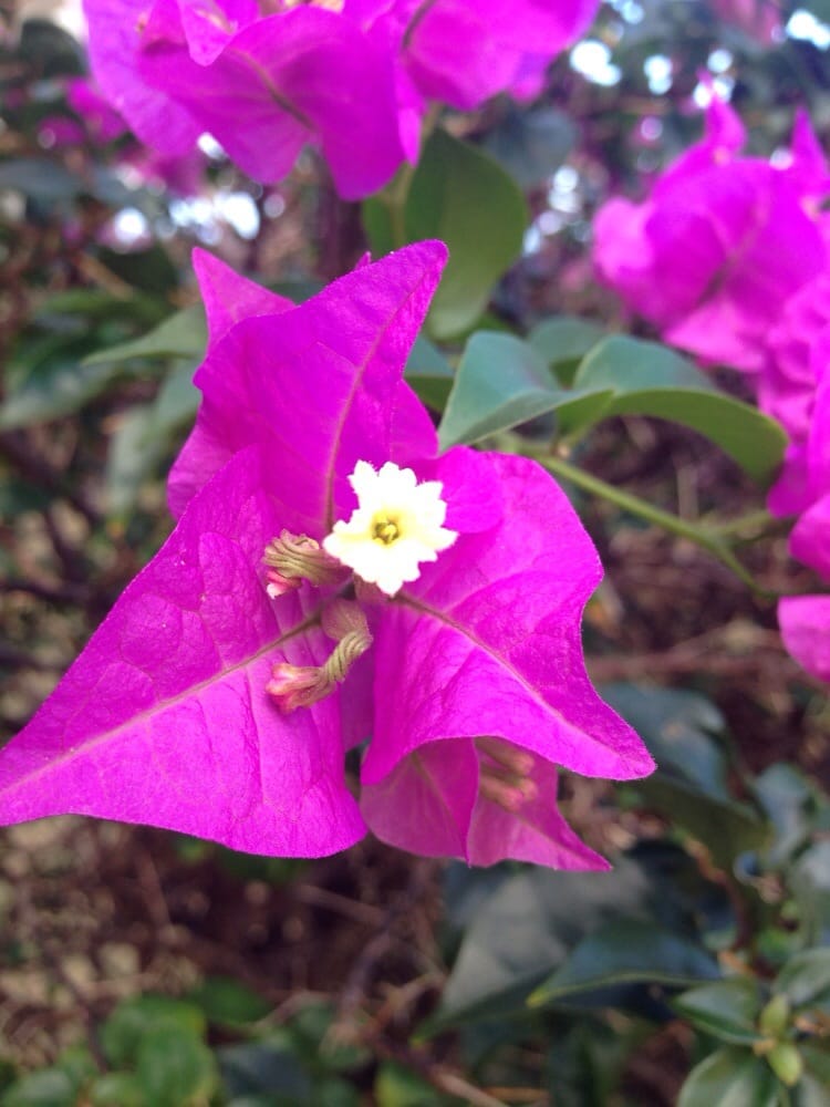 Jodi J.'s profile image