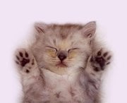 Joanne v.'s profile image