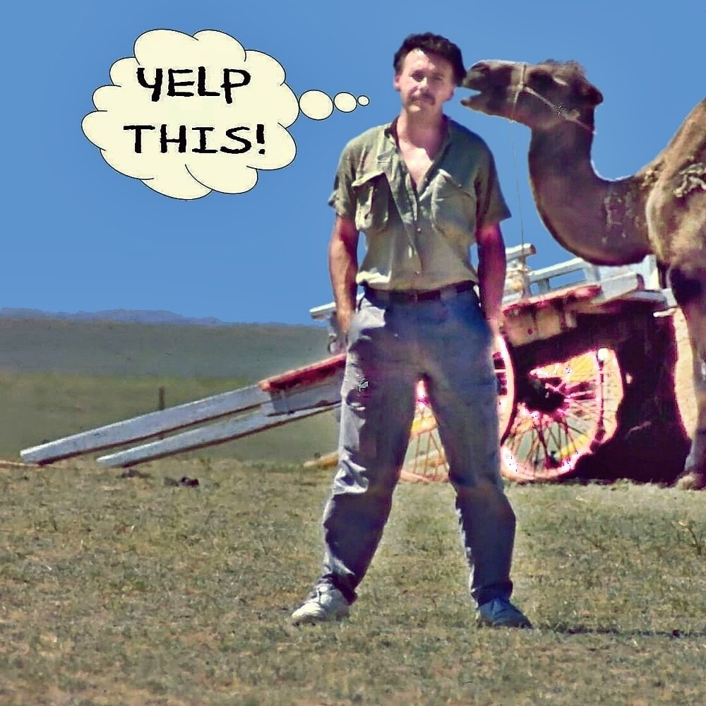 Todd H.'s profile image