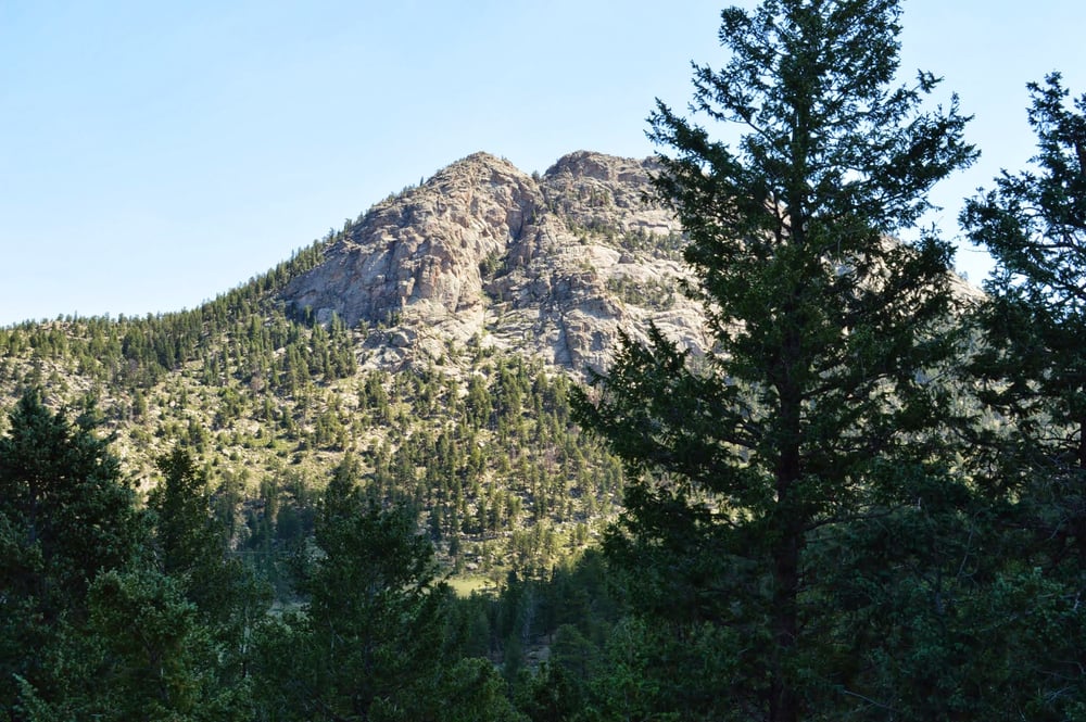 Greg R.'s profile image