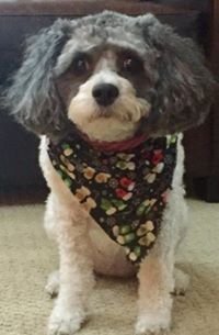 Honey M.'s profile image