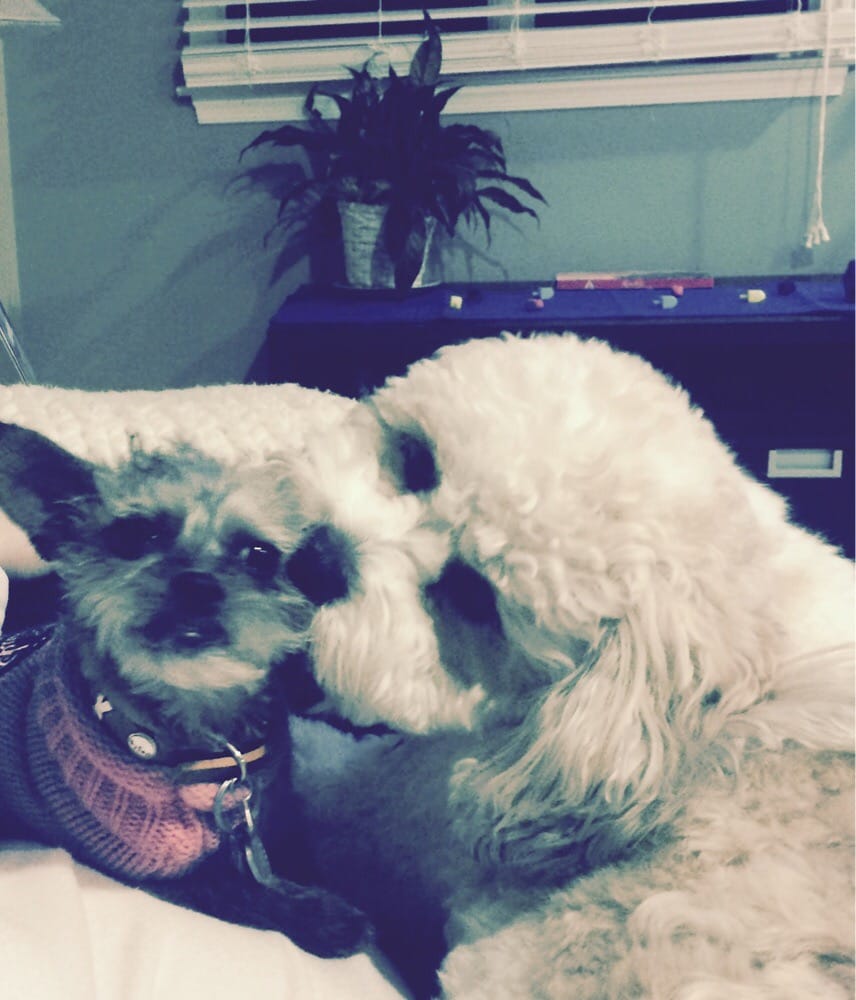 Lori T.'s profile image