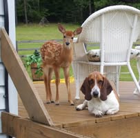 Eric Covert's profile image